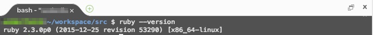 Cloud9_ruby_--version