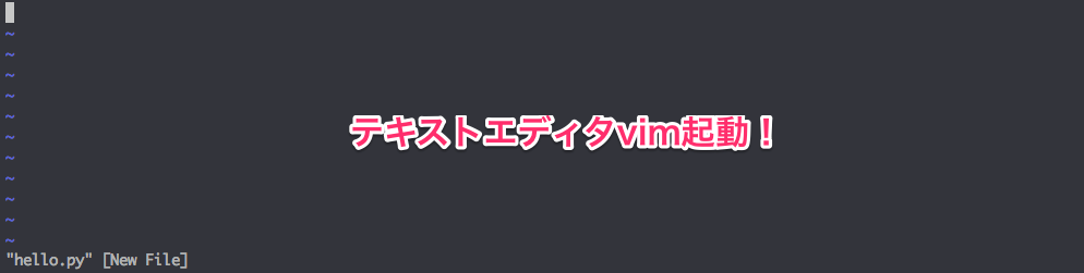 vim起動