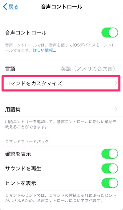 Iphone Ipad Ipod Touch で音声コントロールを使う Apple サポート 日本